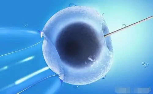 囊胚一次最多移植几颗呢？