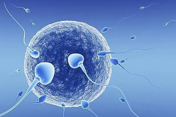 没有精子可以用作试管婴儿吗？