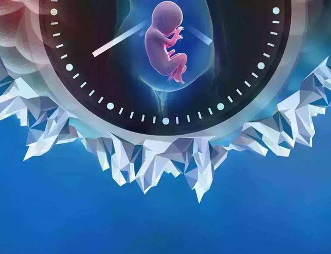 试管婴儿助孕冻胚移植成功率更高？