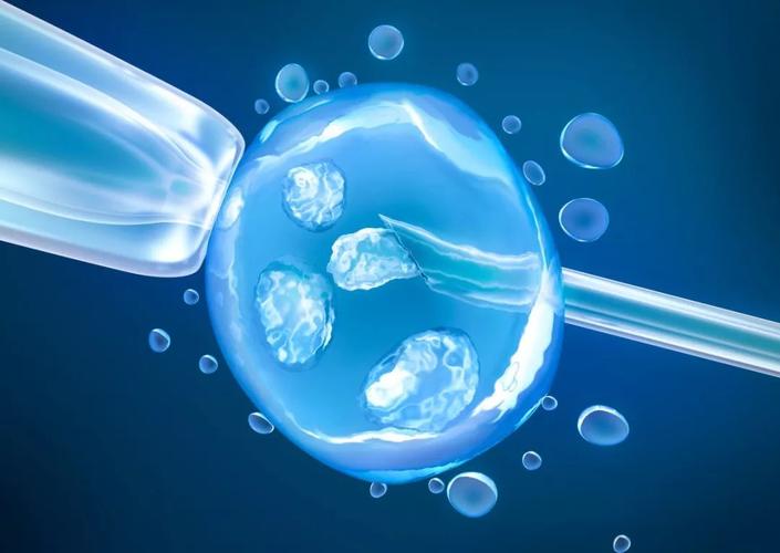 试管婴儿胚胎质量为什么差？怎么提高胚胎质量？
