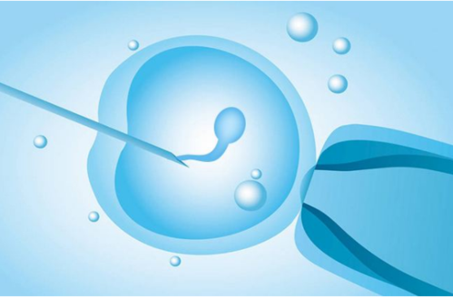 试管婴儿的胚胎是怎么进行培育的？