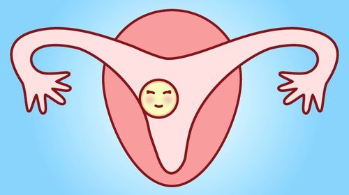 试管婴儿中女性用排促卵的药物该如何保存？