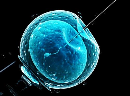 试管婴儿移植的时候用中等胚胎容易成功吗？