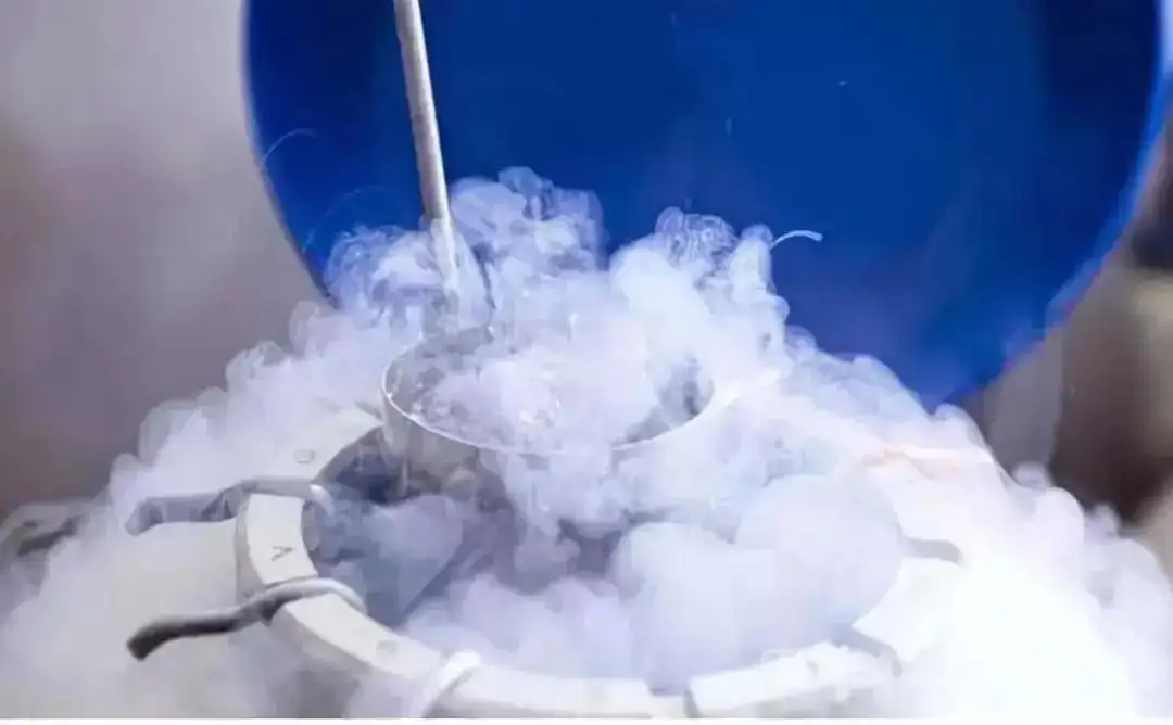 做试管婴儿冻胚胎移植成功率高吗?