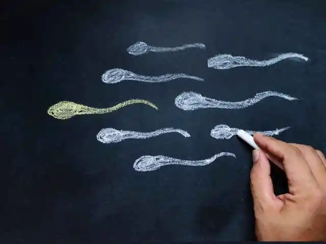 精子畸形率高做几代试管？